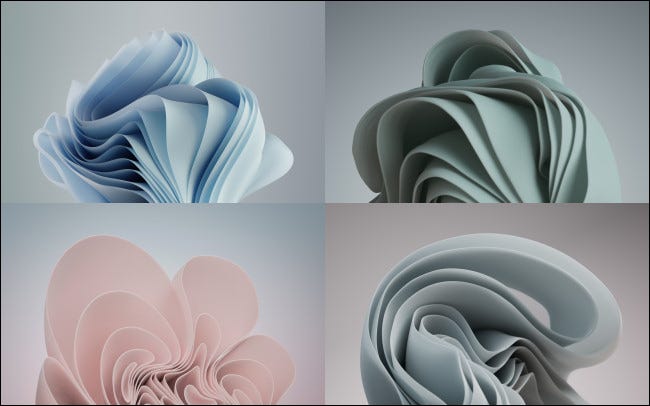 Windows 11 的新壁纸的长什么样