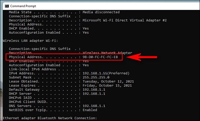 如何在 Windows 11 上查看 MAC 地址