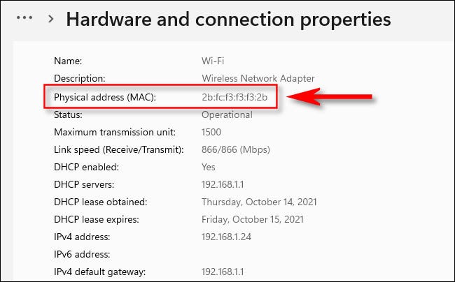 如何在 Windows 11 上查看 MAC 地址